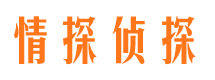 合浦找人公司